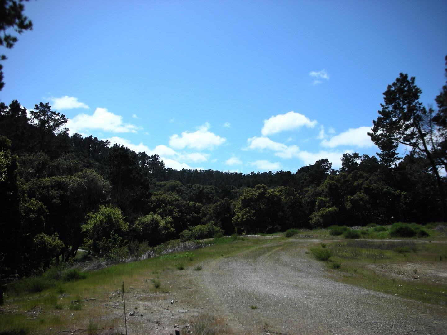 7745 Paseo Venado