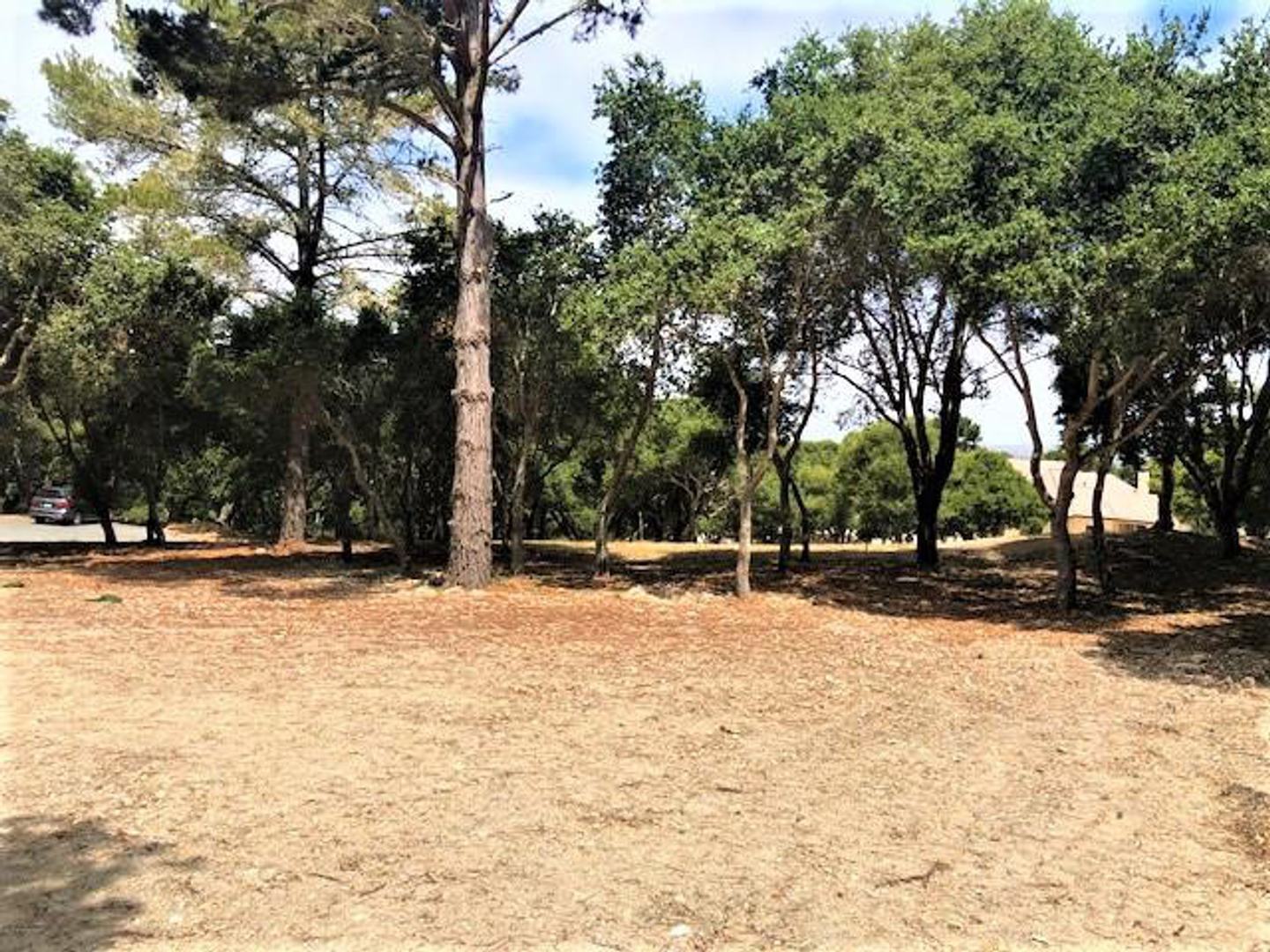 7830 Monterra Oaks Road (Lot 104)