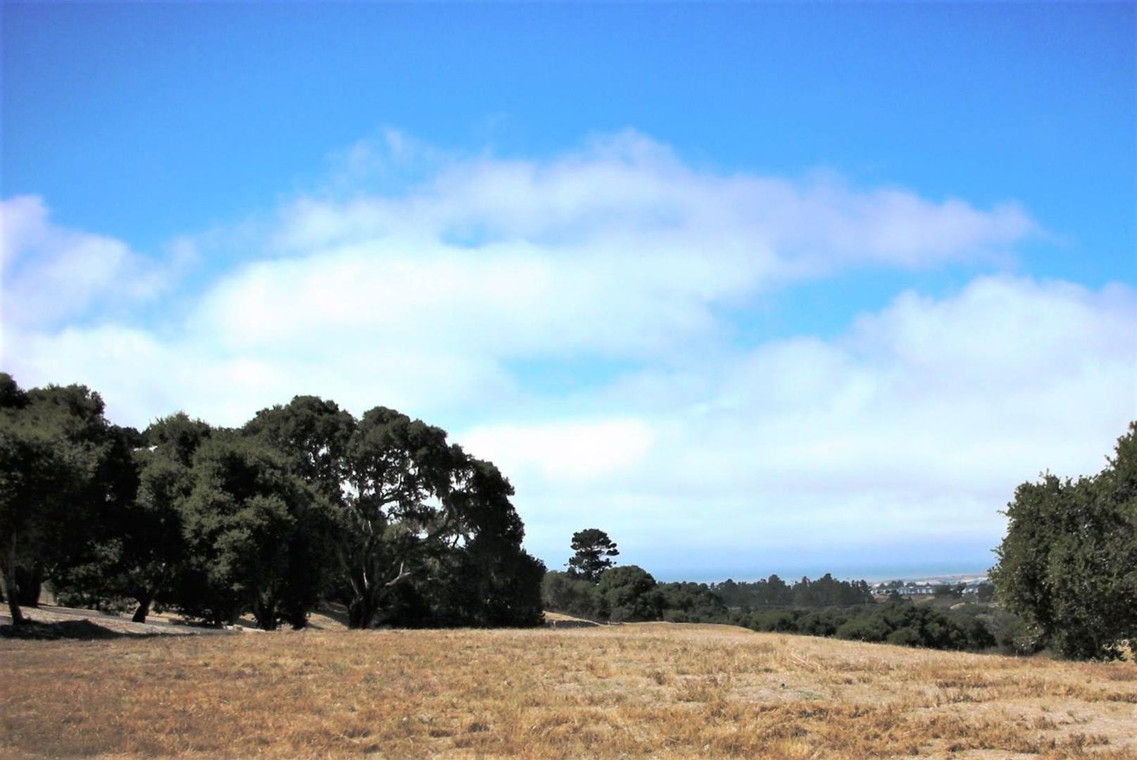 7599 Paseo Vista (Lot 75)