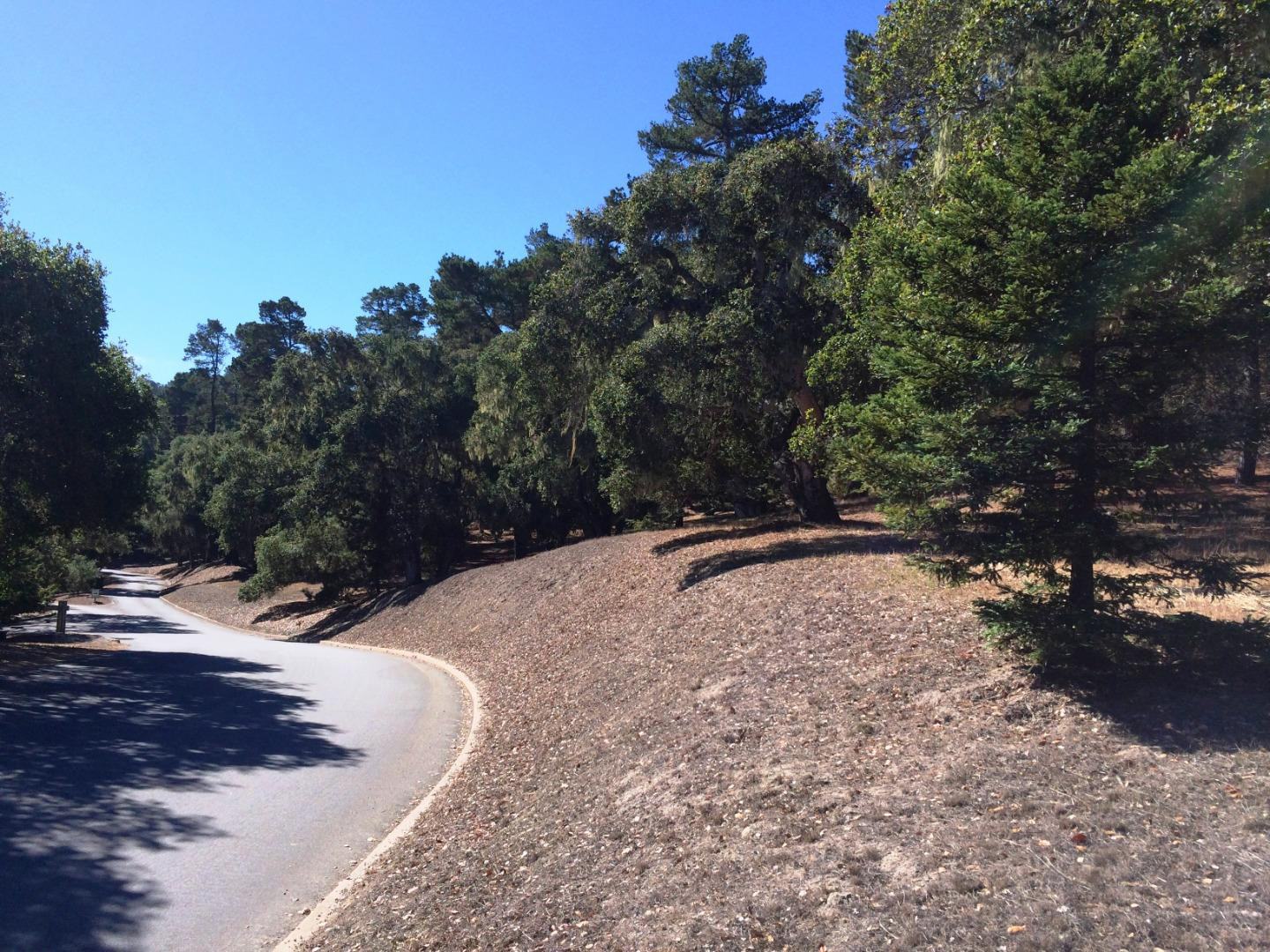 24262 Via Malpaso (Lot 28)