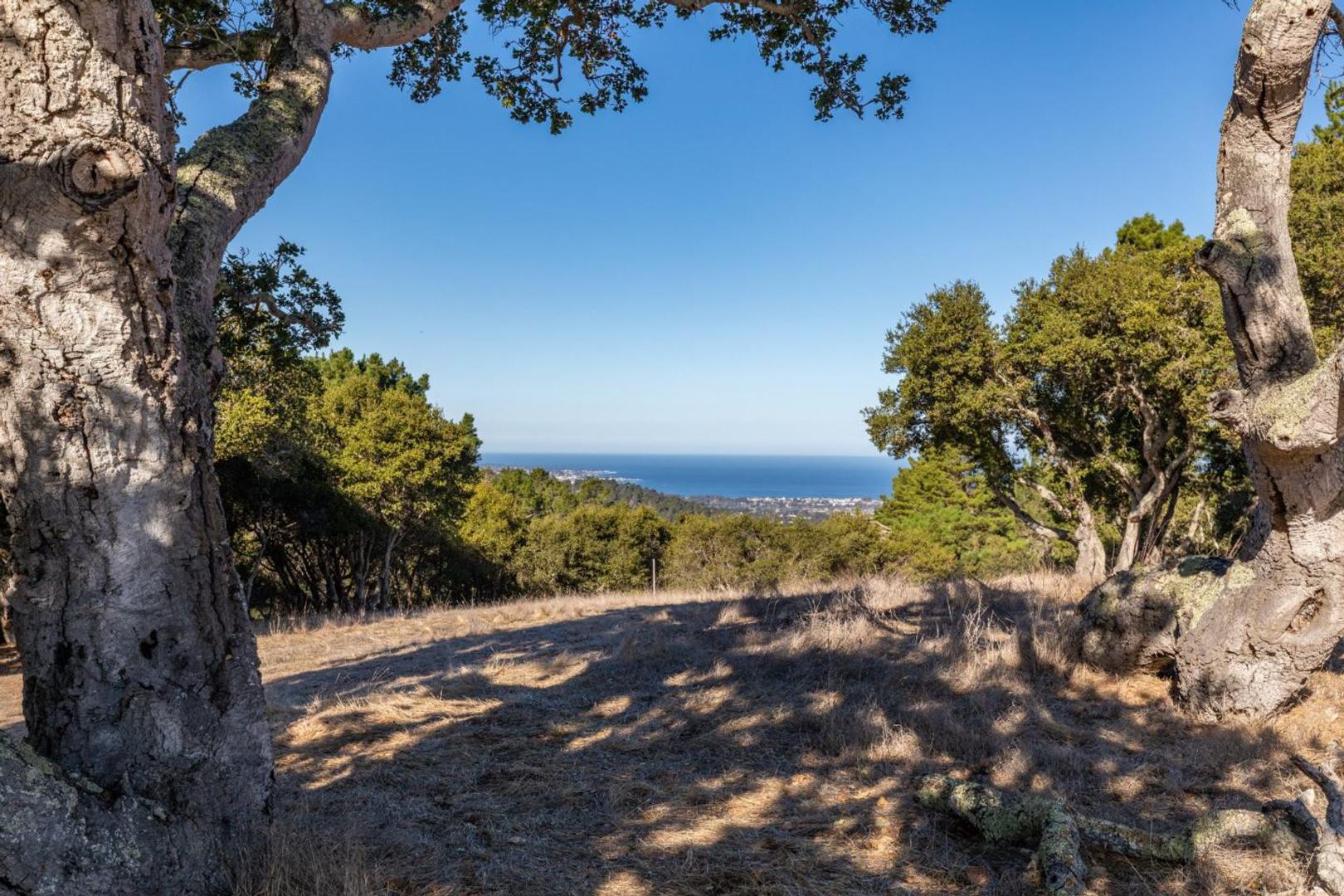 25520 Via Malpaso (Lot 92)