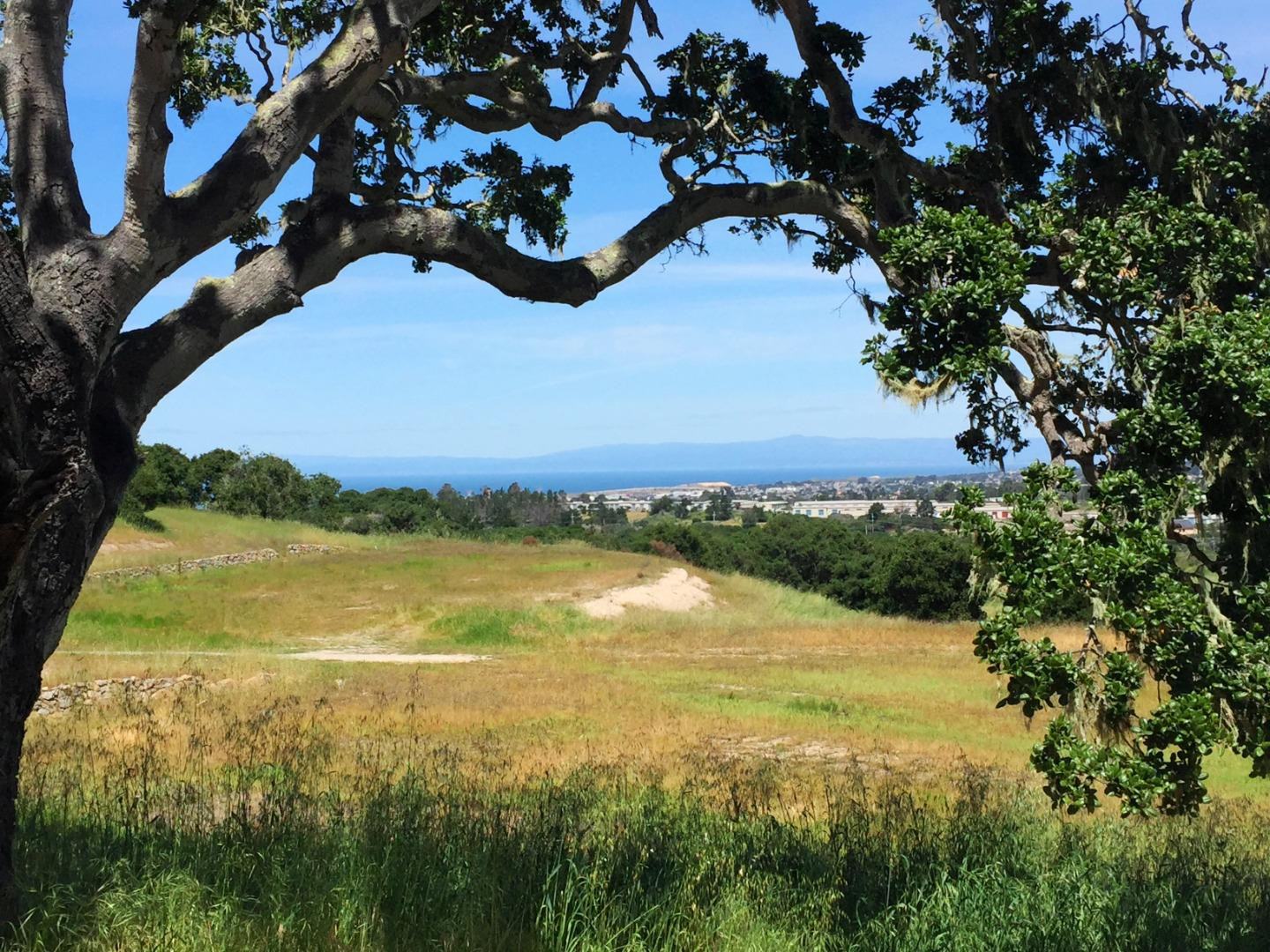 7586 Paseo Vista (Lot 78)