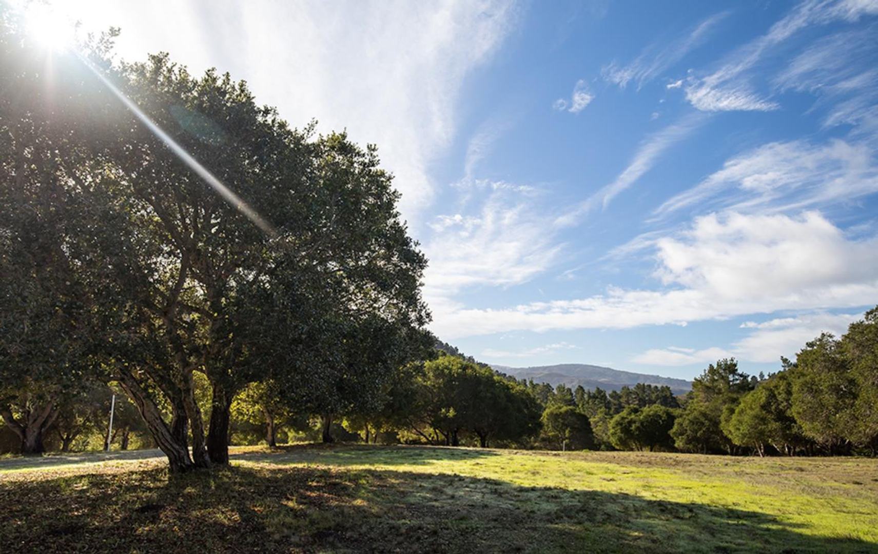 24 Tehama (Lot 10)