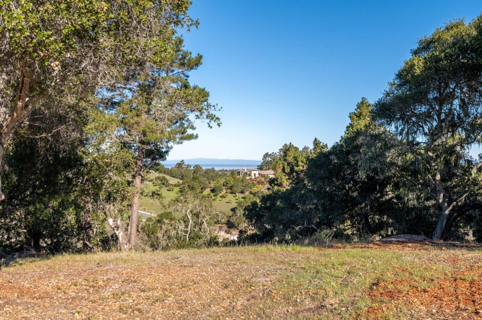 7765 Paseo Venado (Lot 85)
