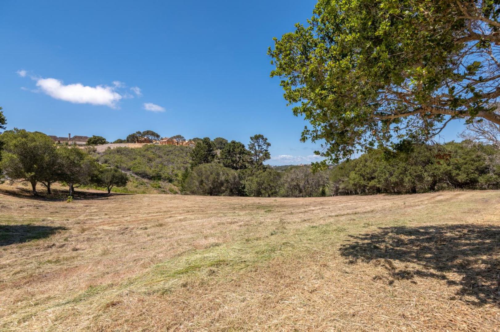 8130 Manjares (Lot 126)