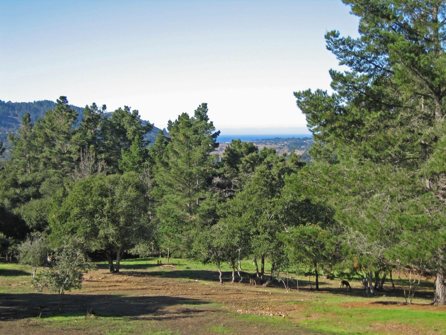 12 Alta Madera (Lot 4)