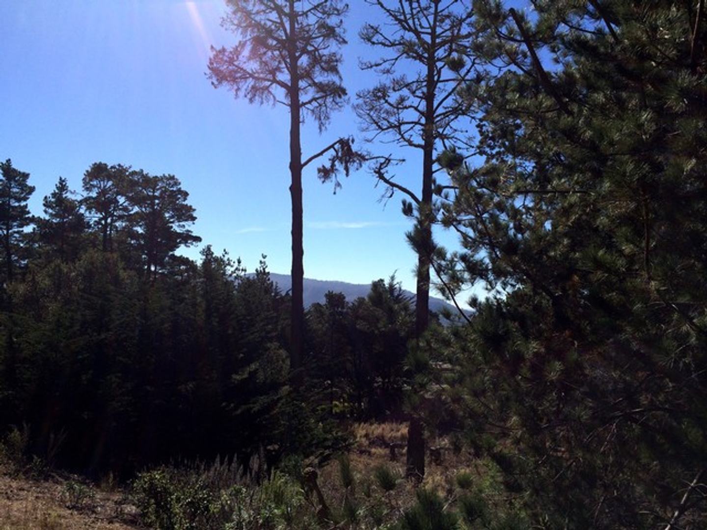 7 Acres - 3940 Via Mar Monte