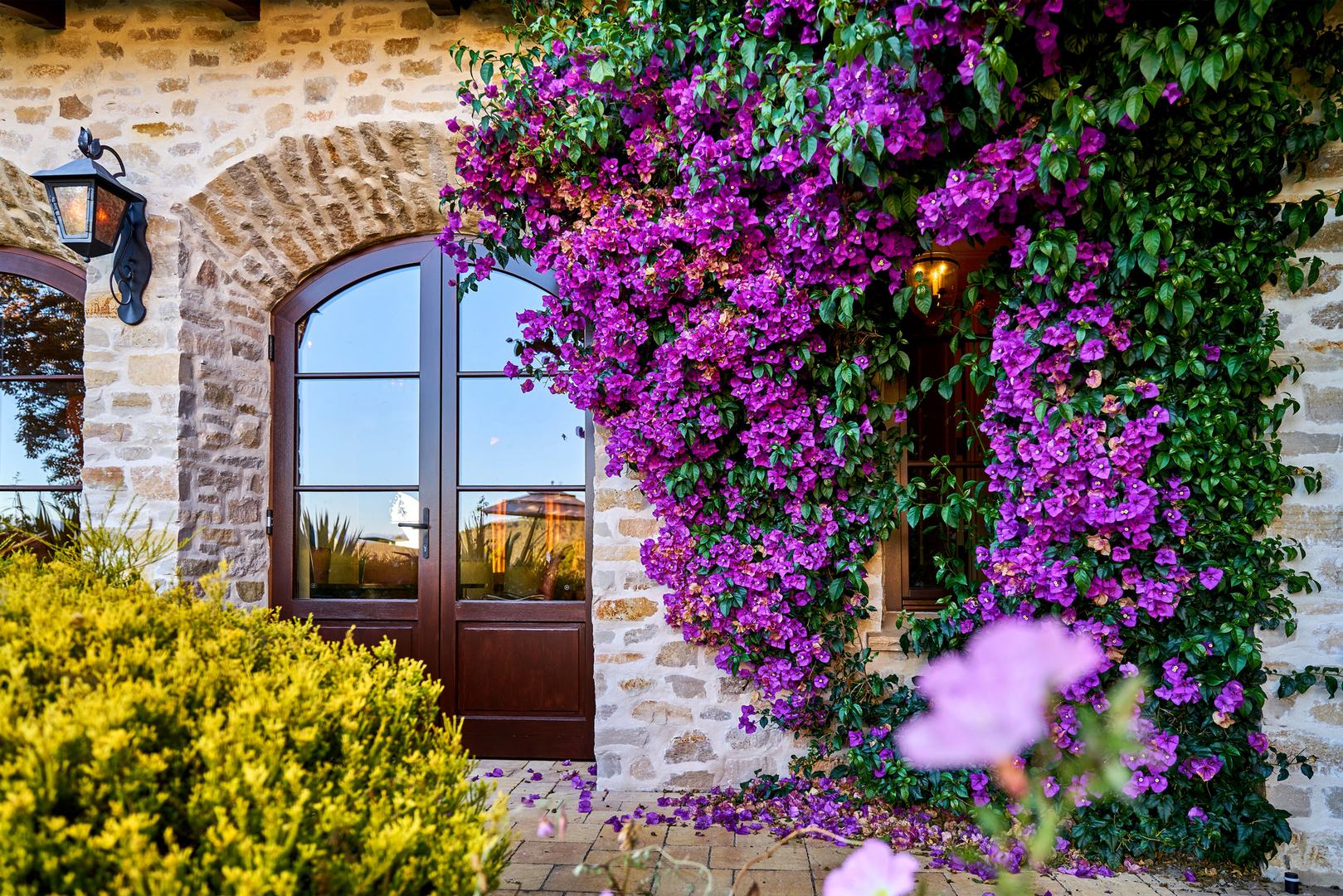 Tehama Estate photo #40