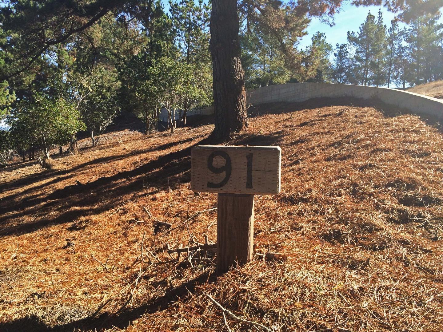25540 Via Malpaso (Lot 91 Tehama) photo #1