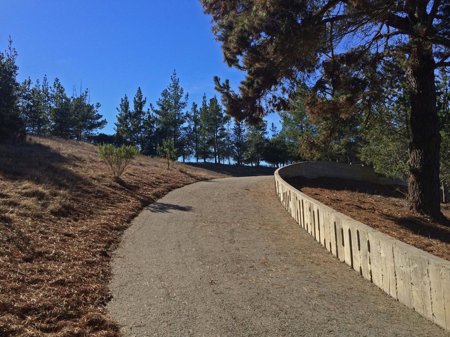 25540 Via Malpaso (Lot 91 Tehama) photo #2
