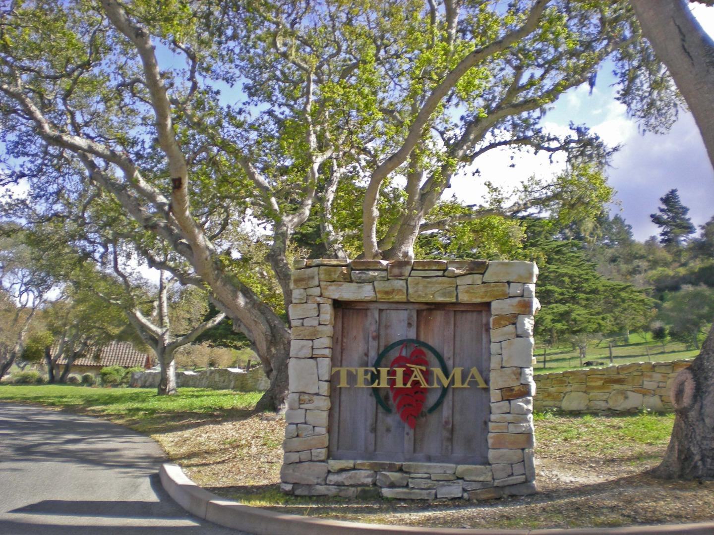25540 Via Malpaso (Lot 91 Tehama) photo #6