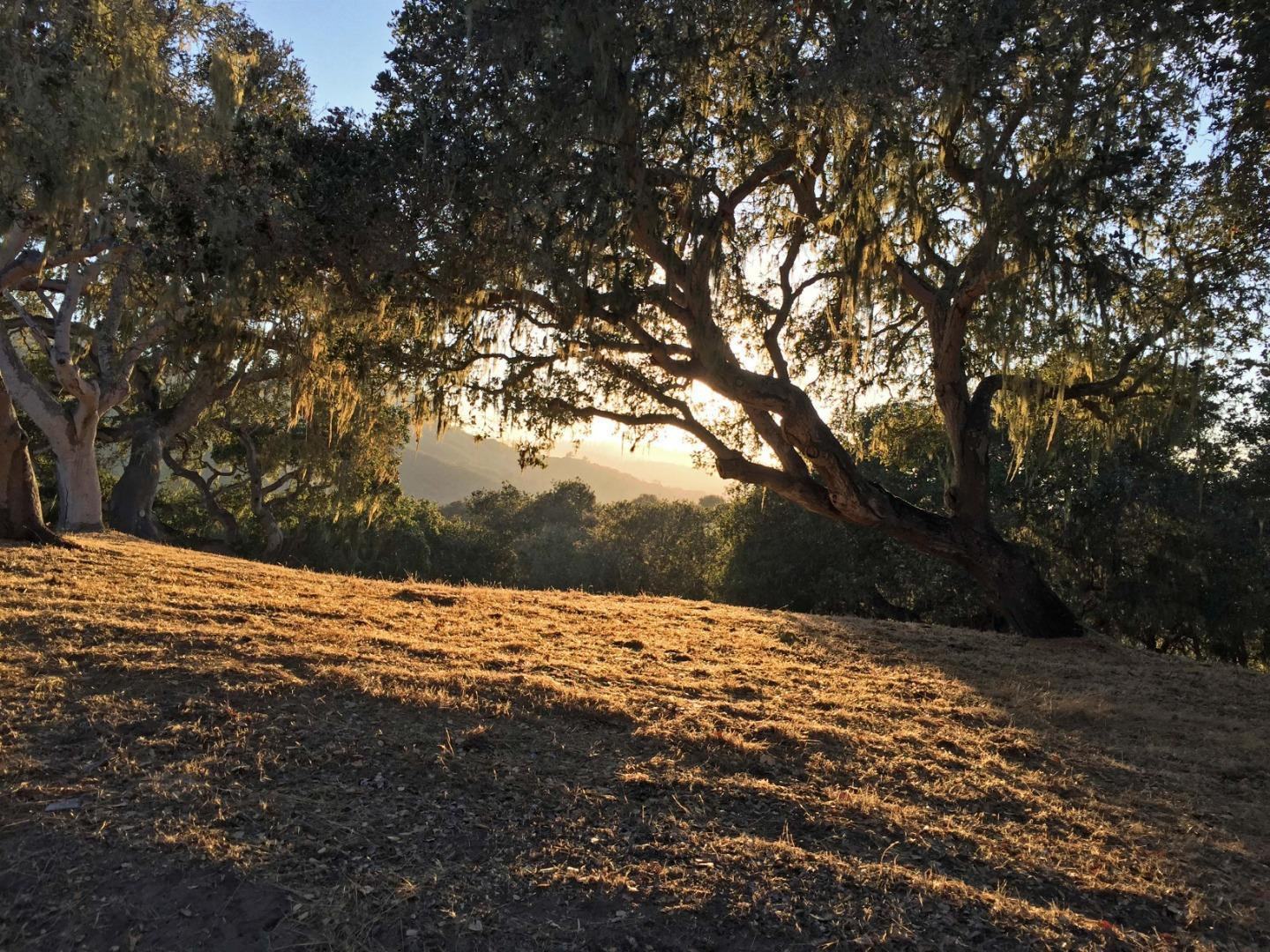8345 Vista Monterra (Lot 151) photo #1