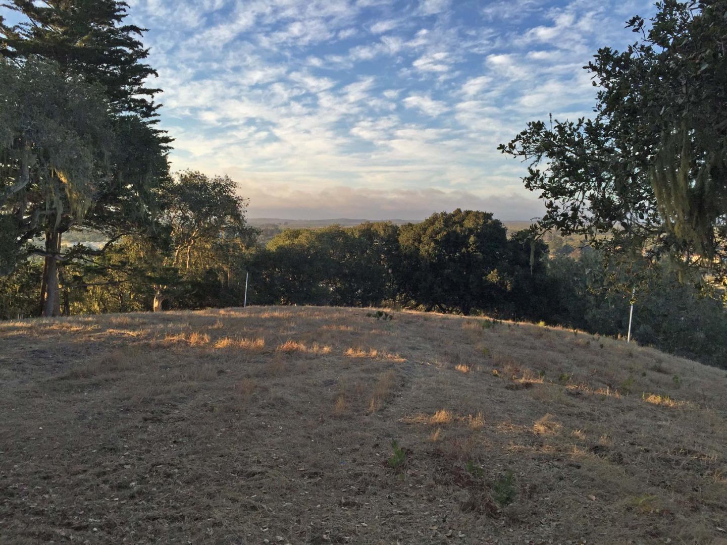 8345 Vista Monterra (Lot 151) photo #4