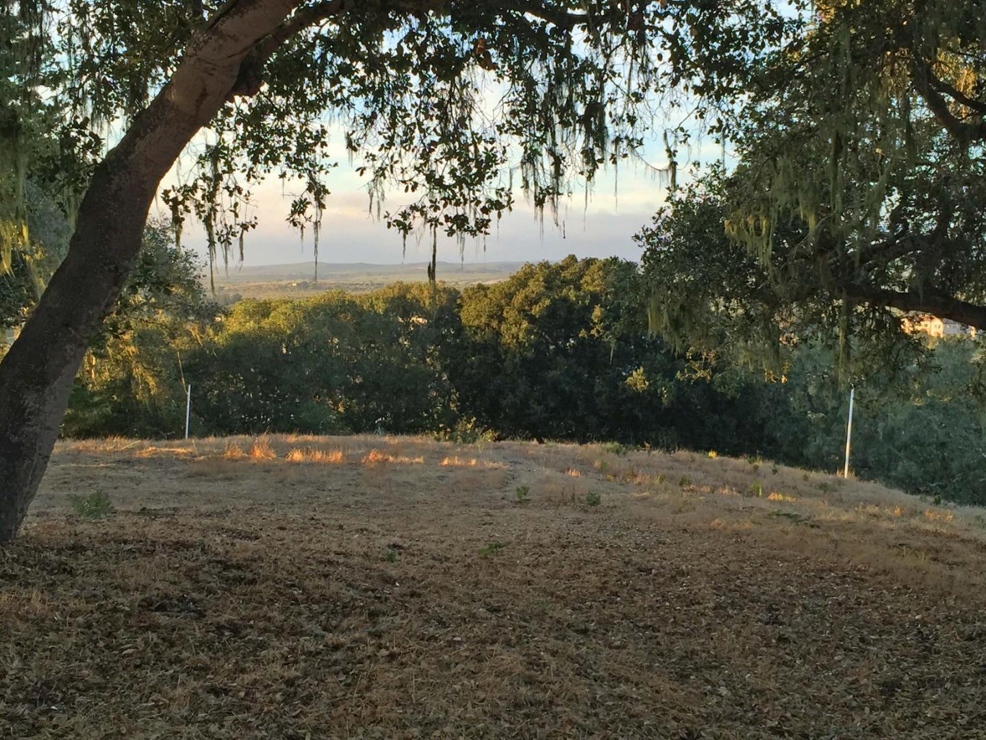 8345 Vista Monterra (Lot 151) photo #7