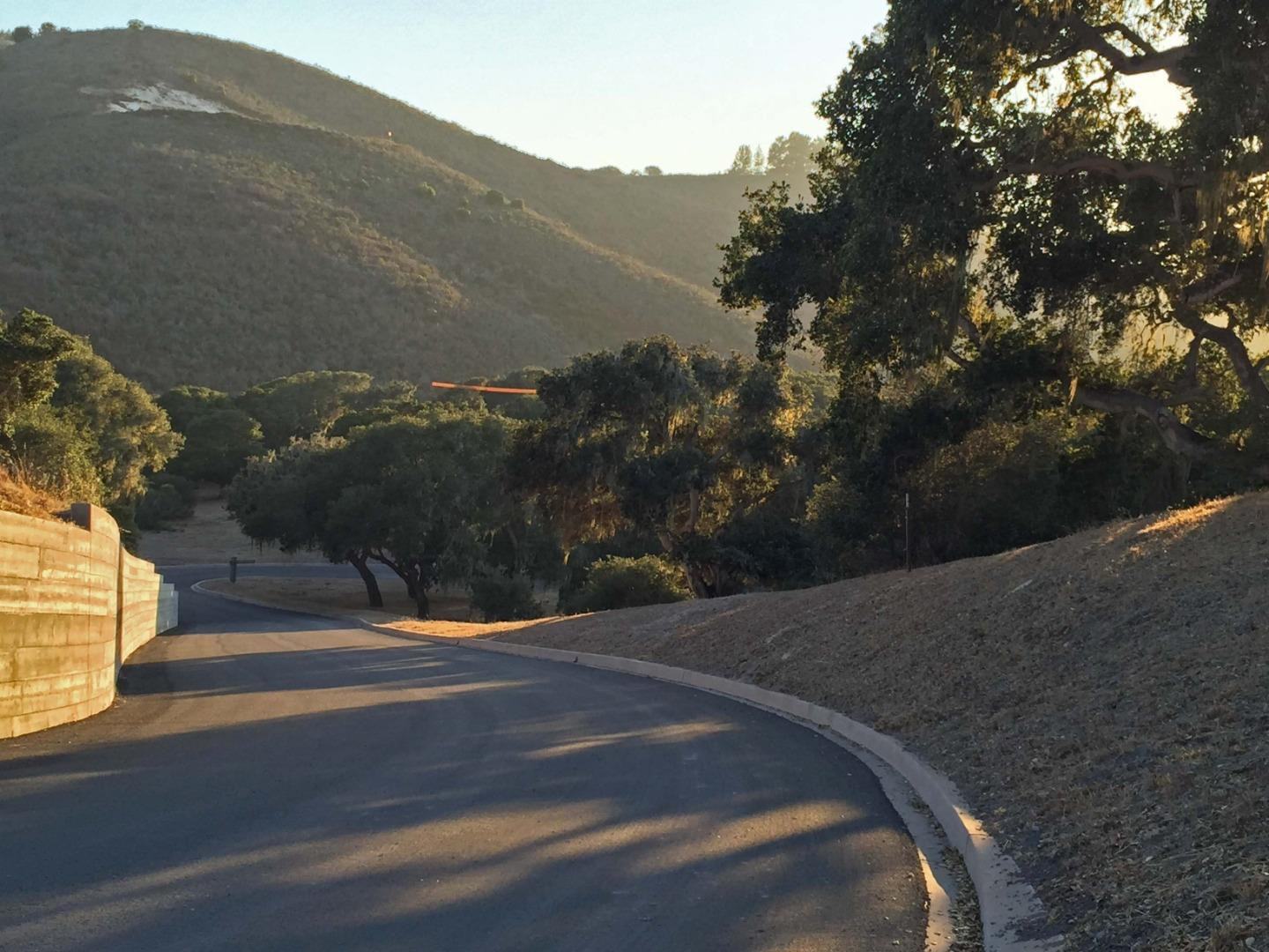 8345 Vista Monterra (Lot 151) photo #8