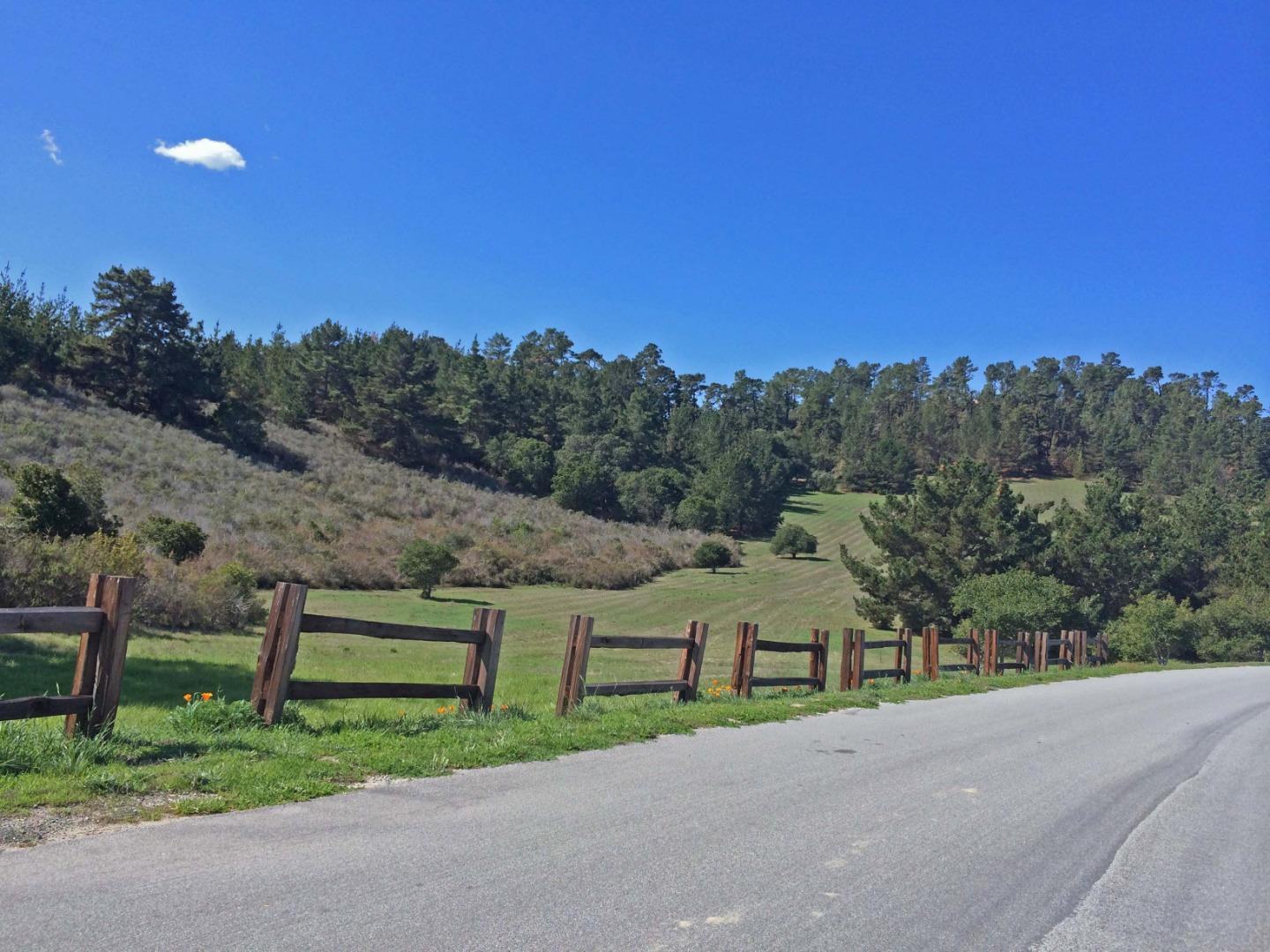 8345 Vista Monterra (Lot 151) photo #12