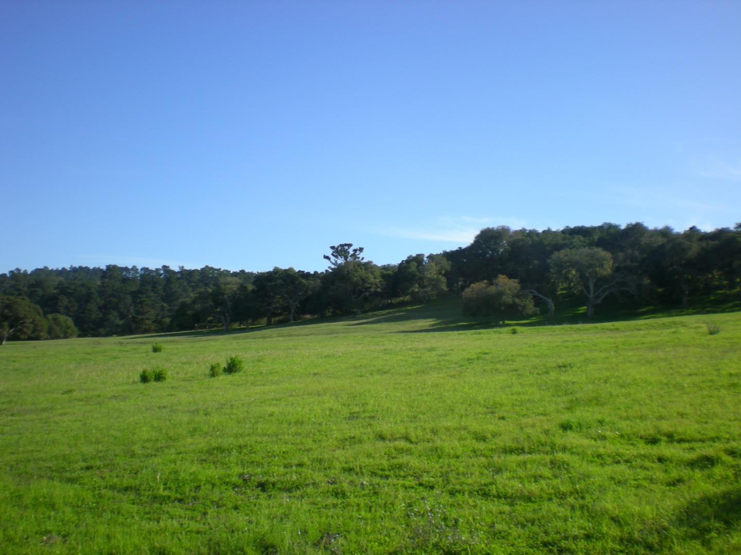 Via Malpaso (Lot 94) photo #1