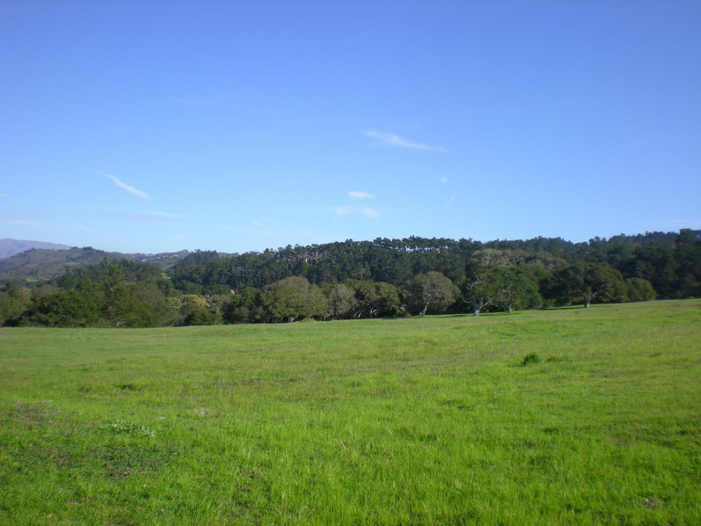 Via Malpaso (Lot 94) photo #2