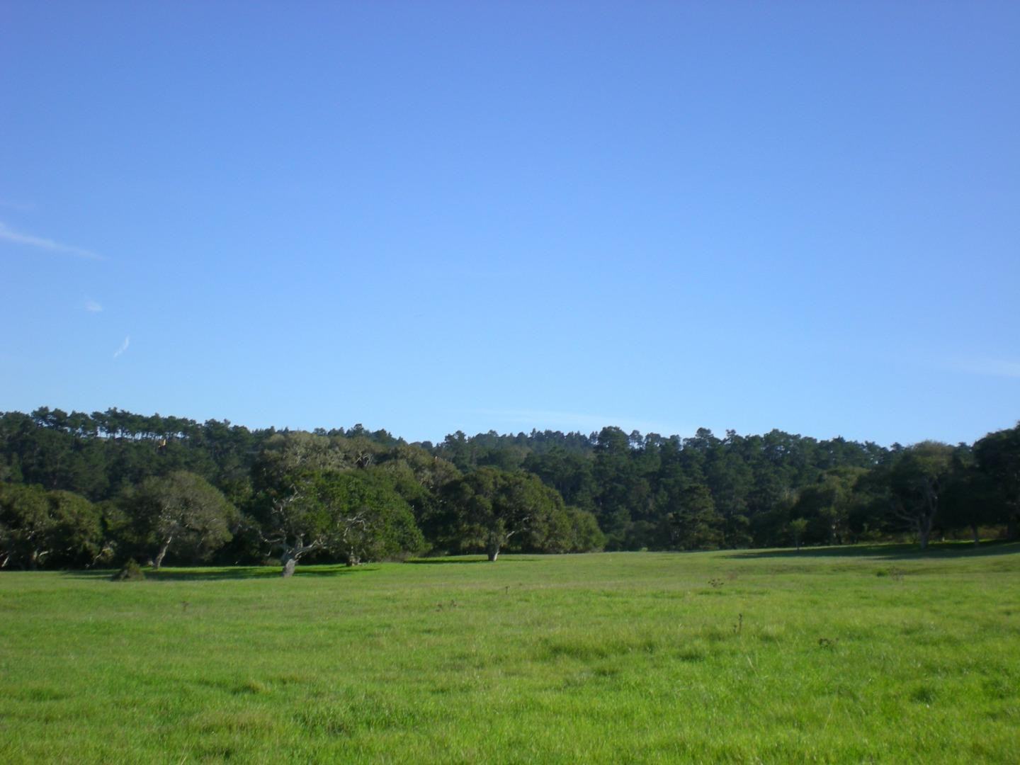Via Malpaso (Lot 94) photo #3