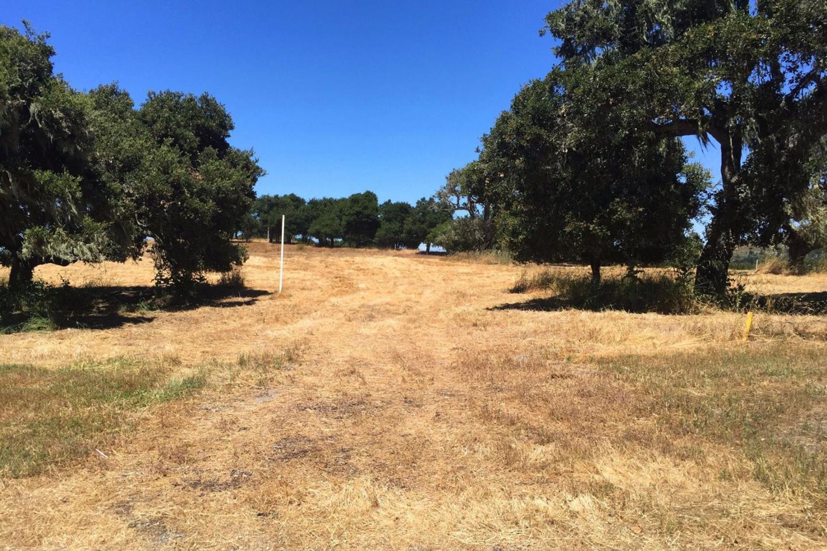 8375 Monterra Views (Lot 155) photo #3