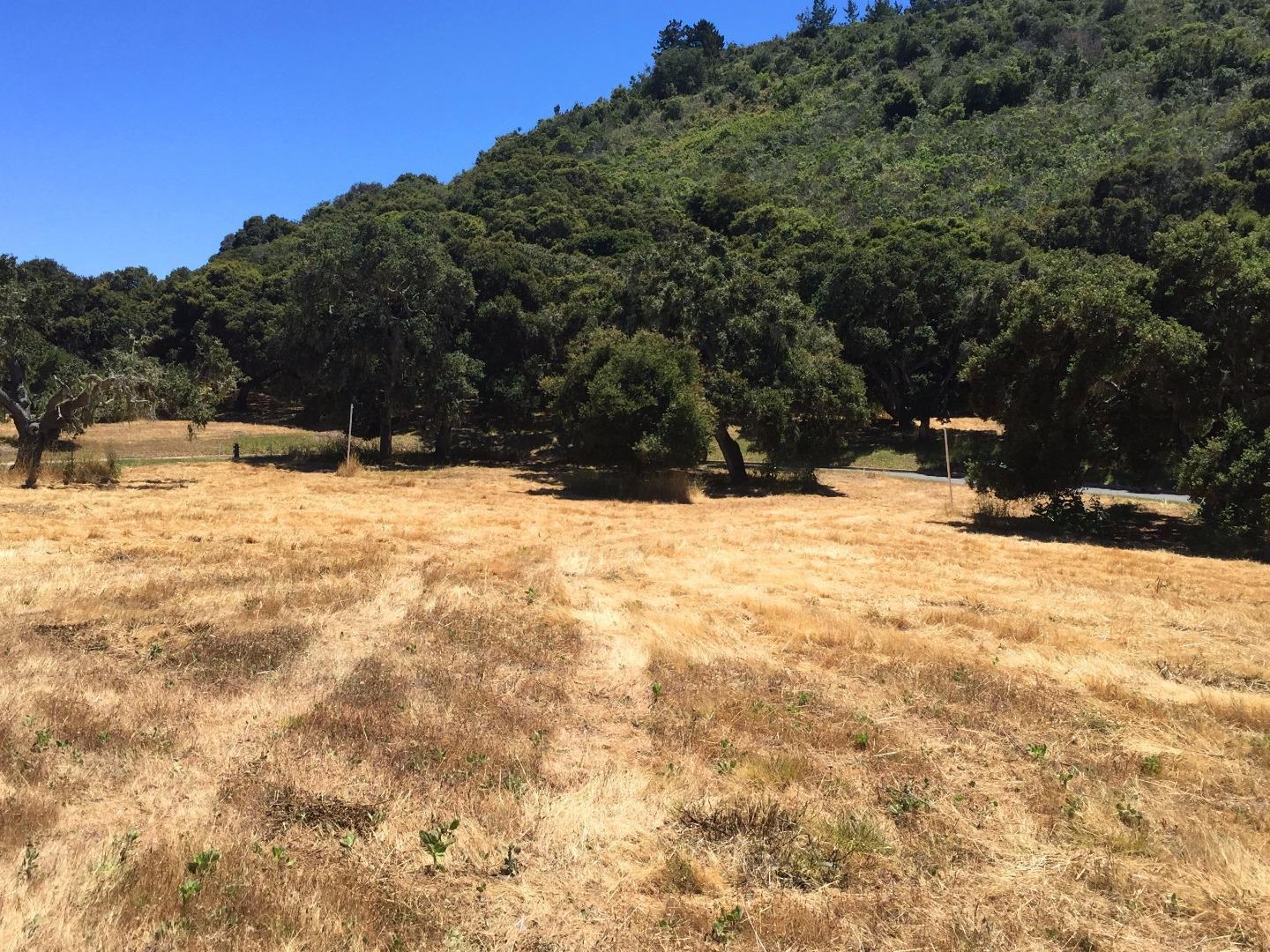 8375 Monterra Views (Lot 155) photo #4