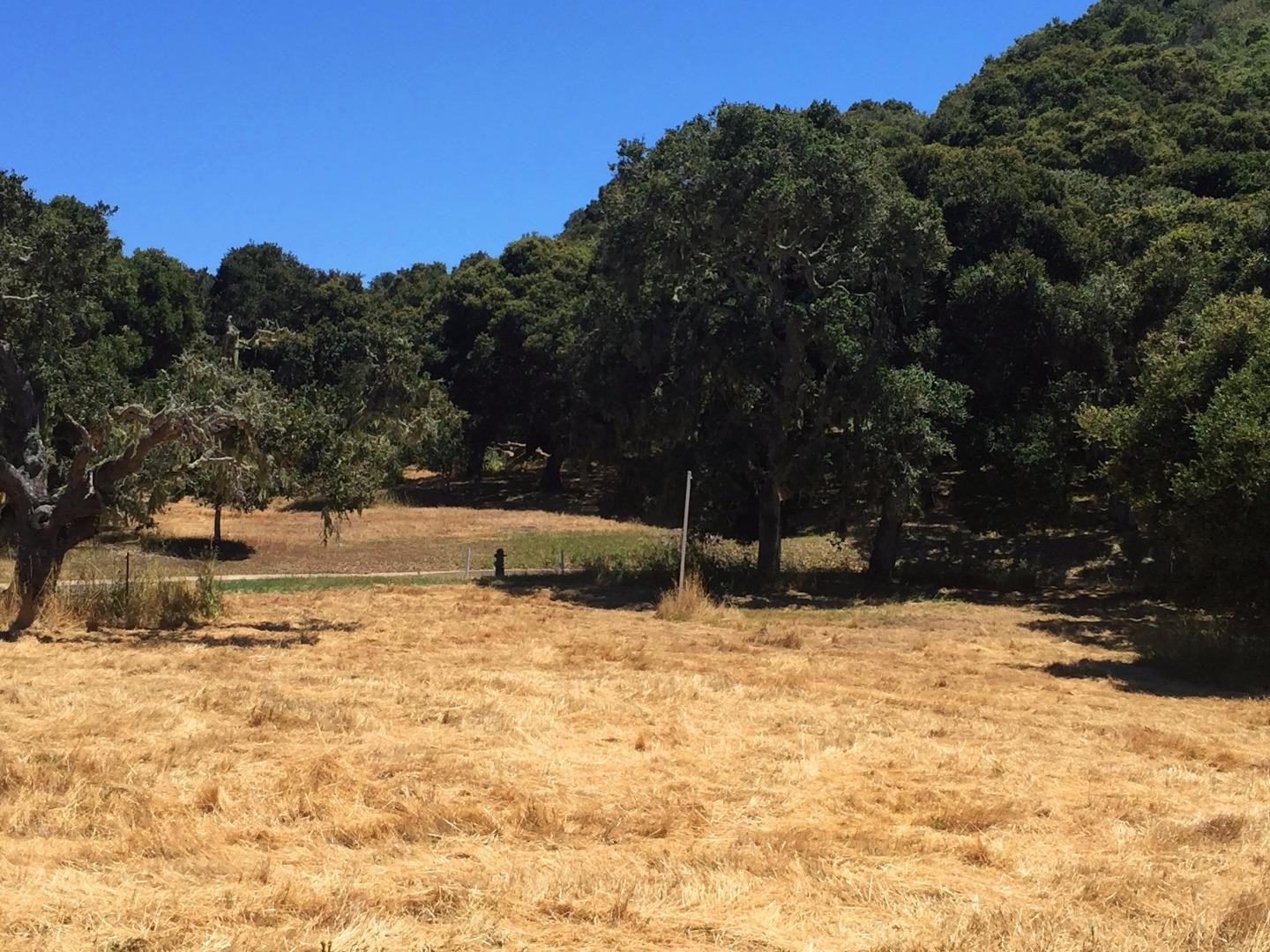 8375 Monterra Views (Lot 155) photo #5