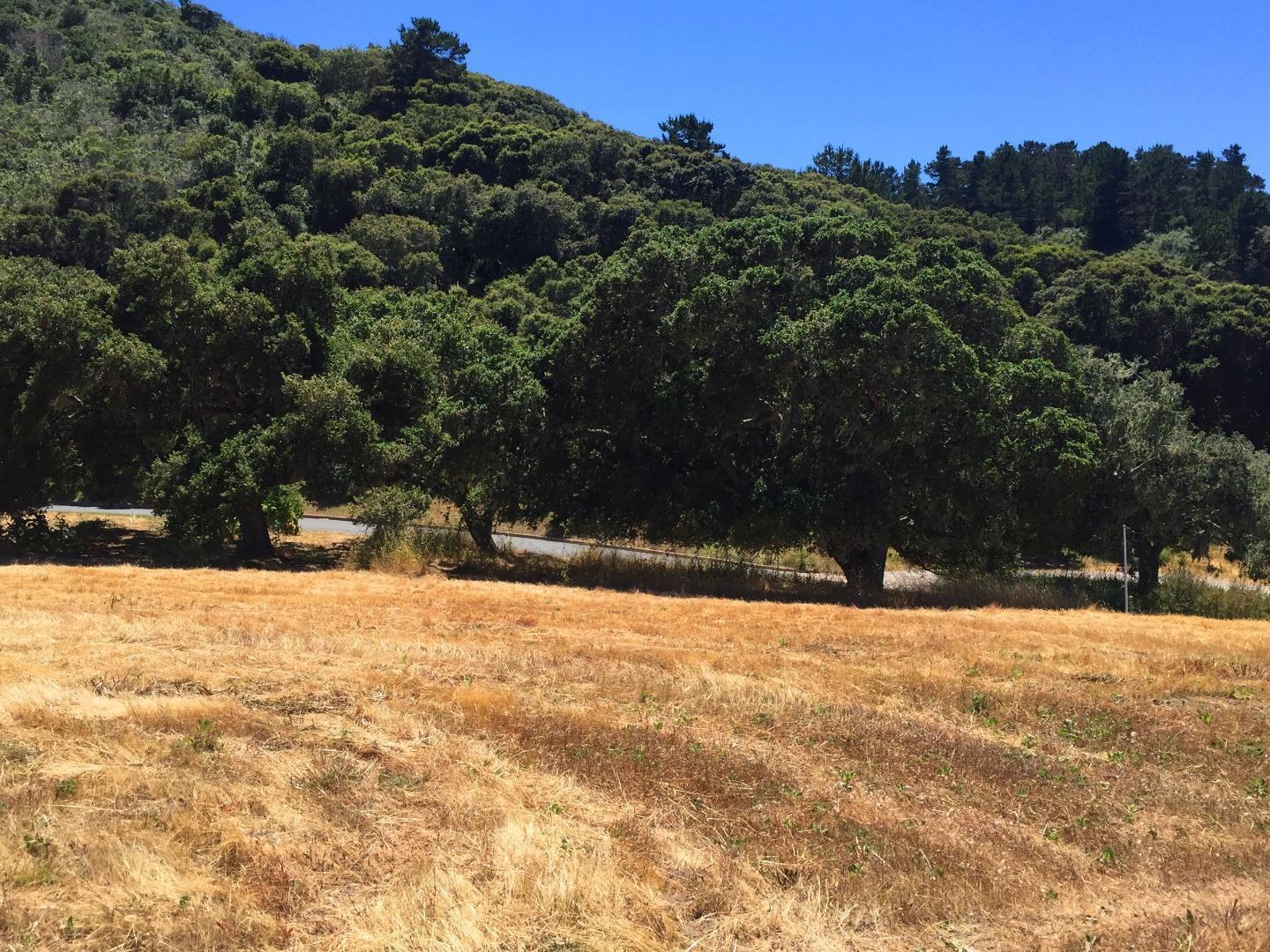 8375 Monterra Views (Lot 155) photo #6