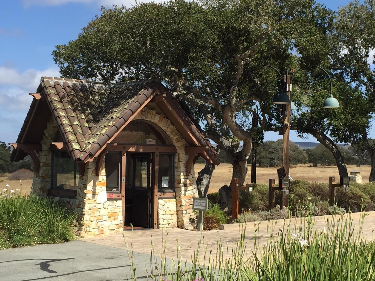 8375 Monterra Views (Lot 155) photo #8