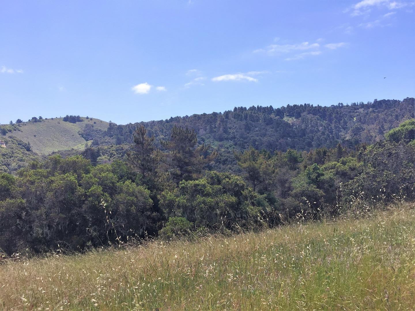 7572 Paseo Vista Place (Lot 52) photo #1