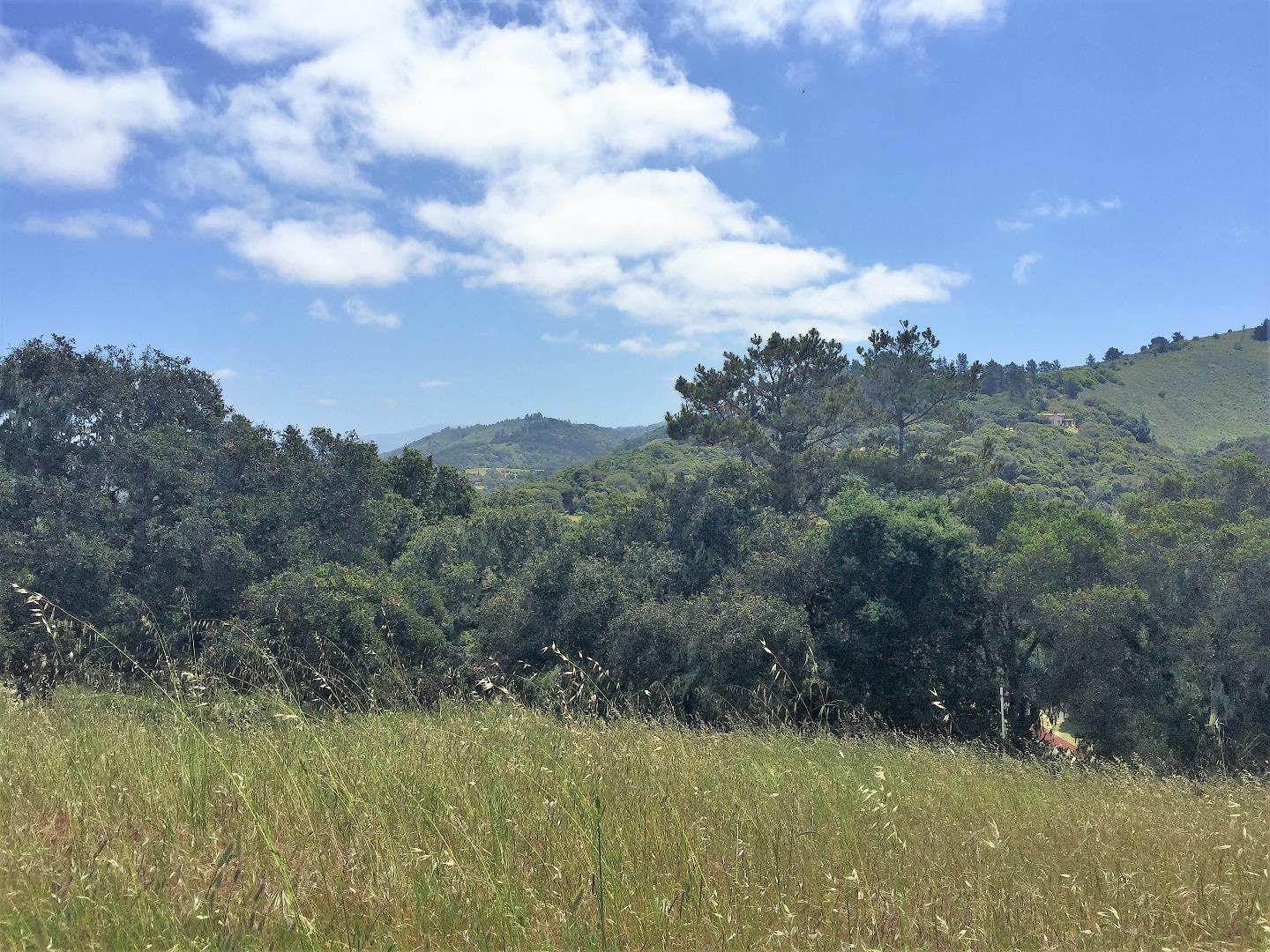 7572 Paseo Vista Place (Lot 52) photo #2