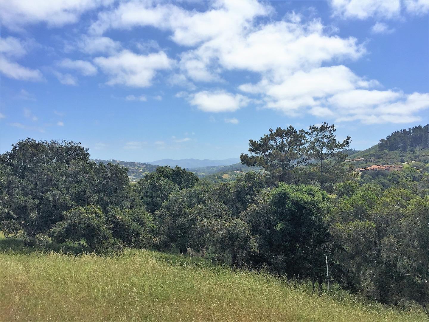 7572 Paseo Vista Place (Lot 52) photo #3