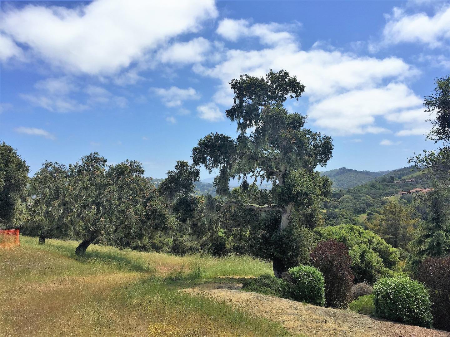 7572 Paseo Vista Place (Lot 52) photo #4