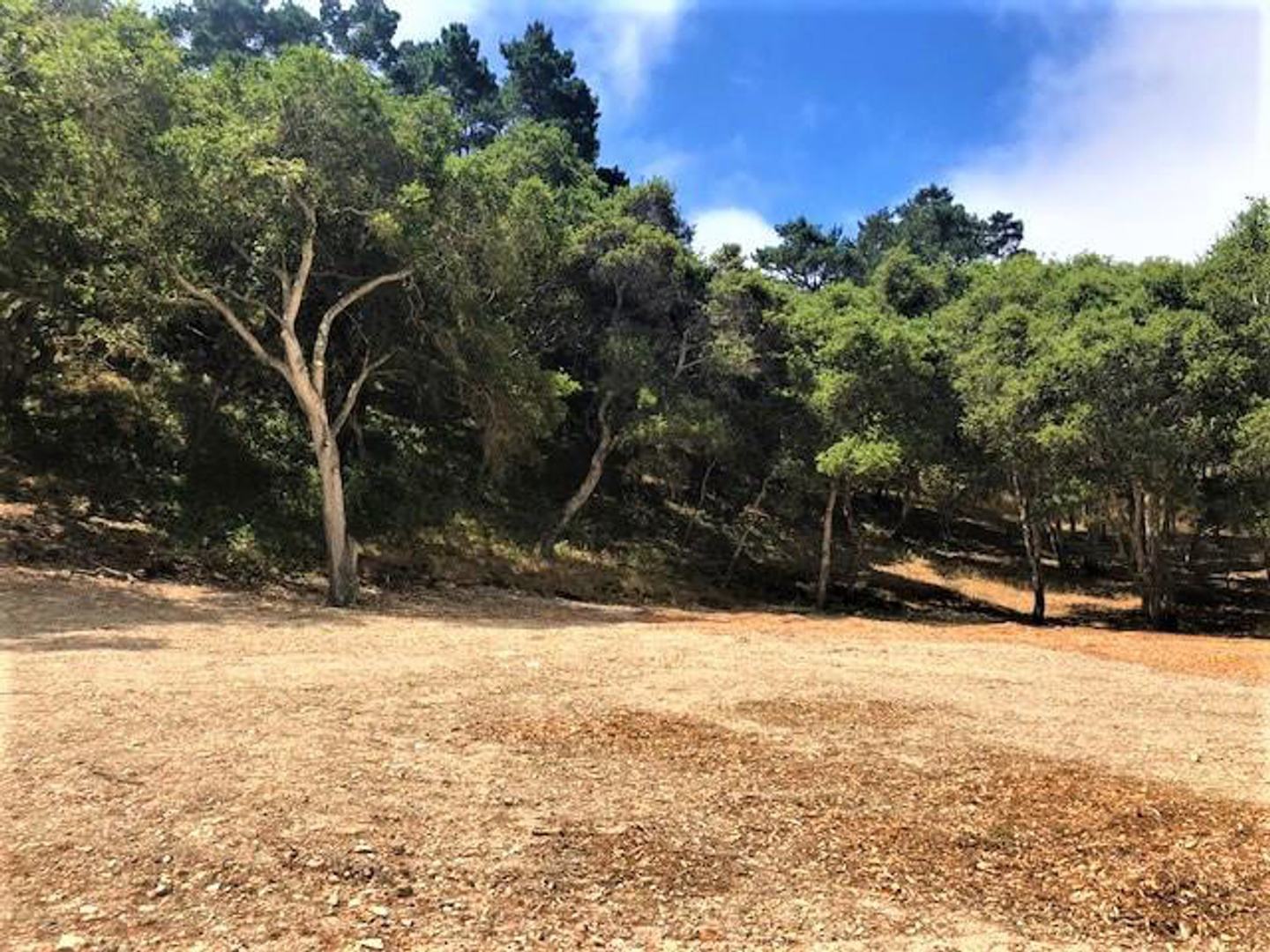 7830 Monterra Oaks Road (Lot 104) photo #1