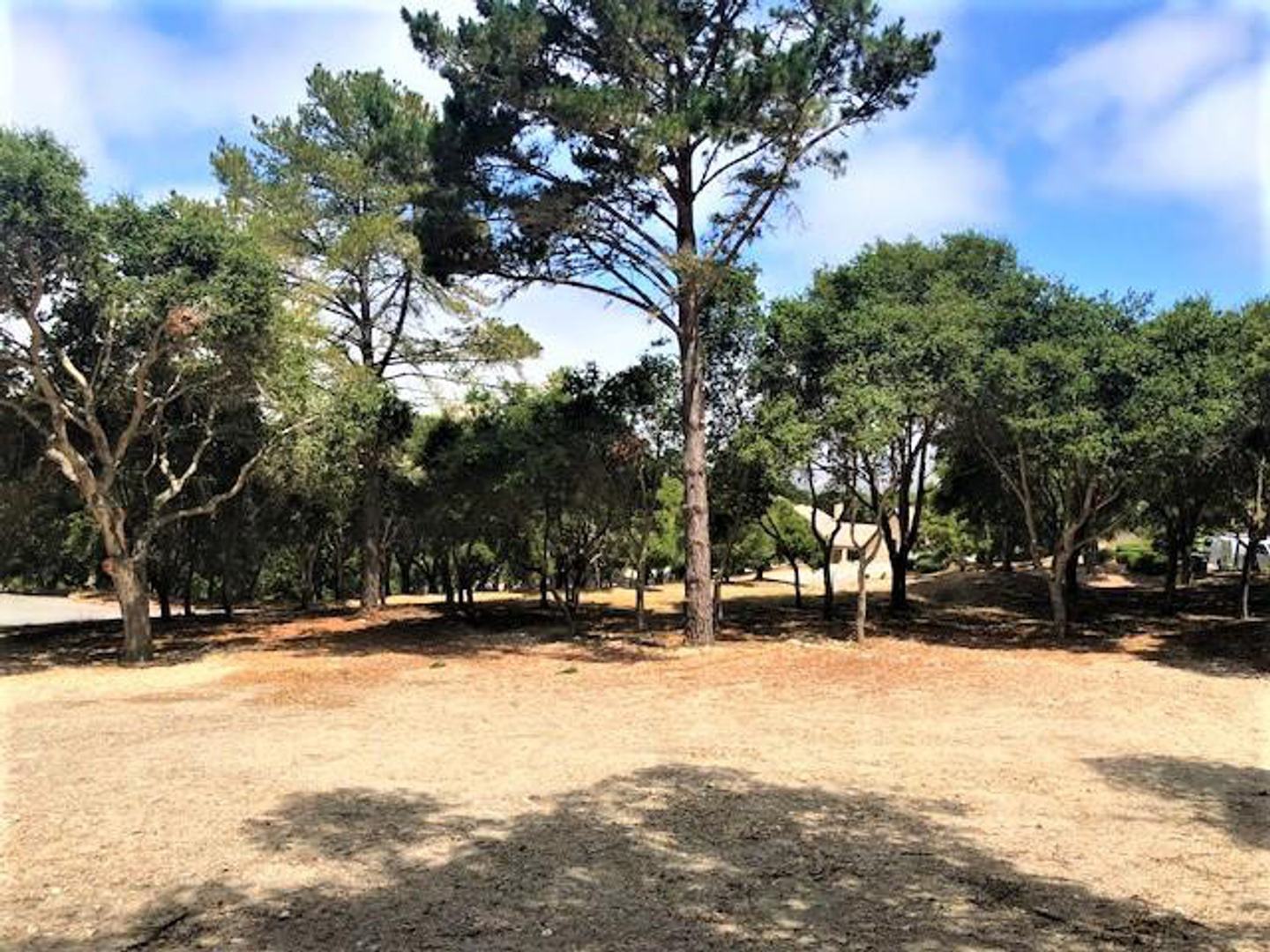 7830 Monterra Oaks Road (Lot 104) photo #5