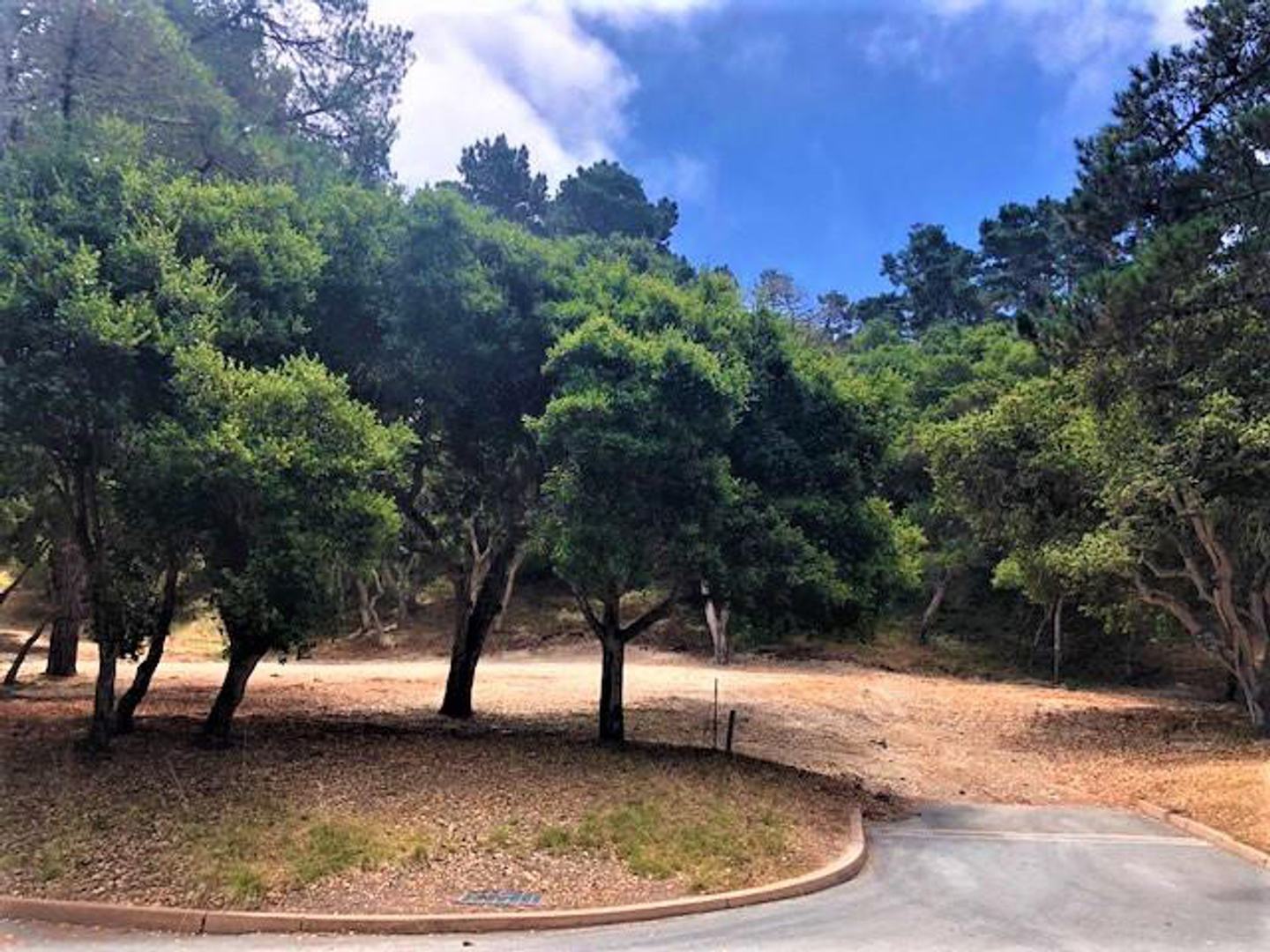 7830 Monterra Oaks Road (Lot 104) photo #6