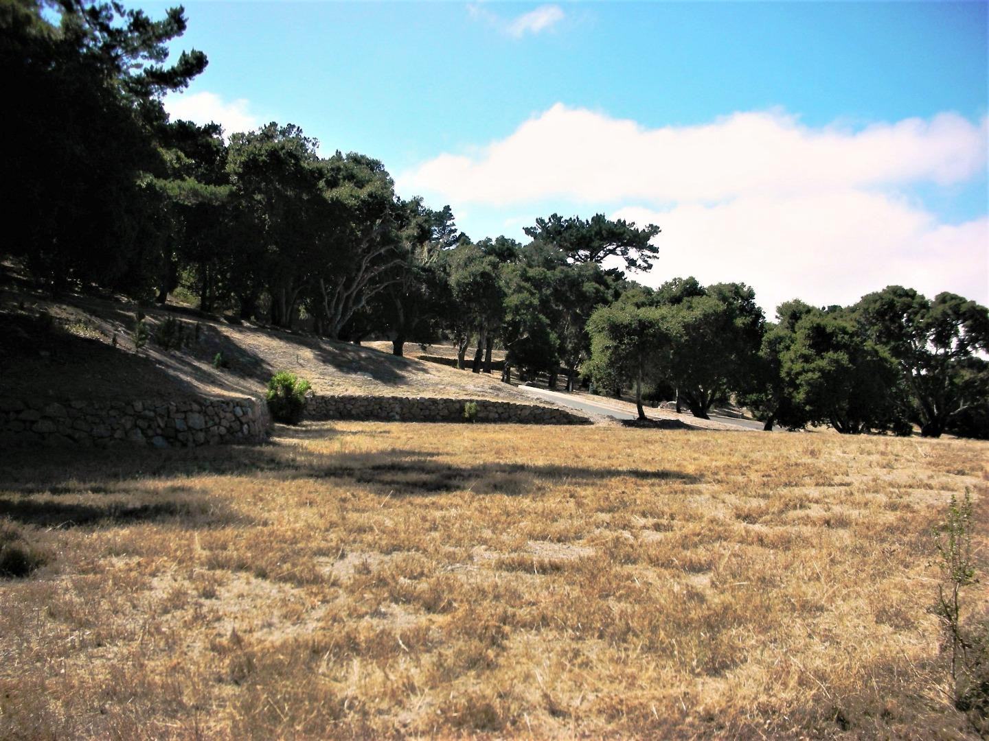 7599 Paseo Vista (Lot 75) photo #1