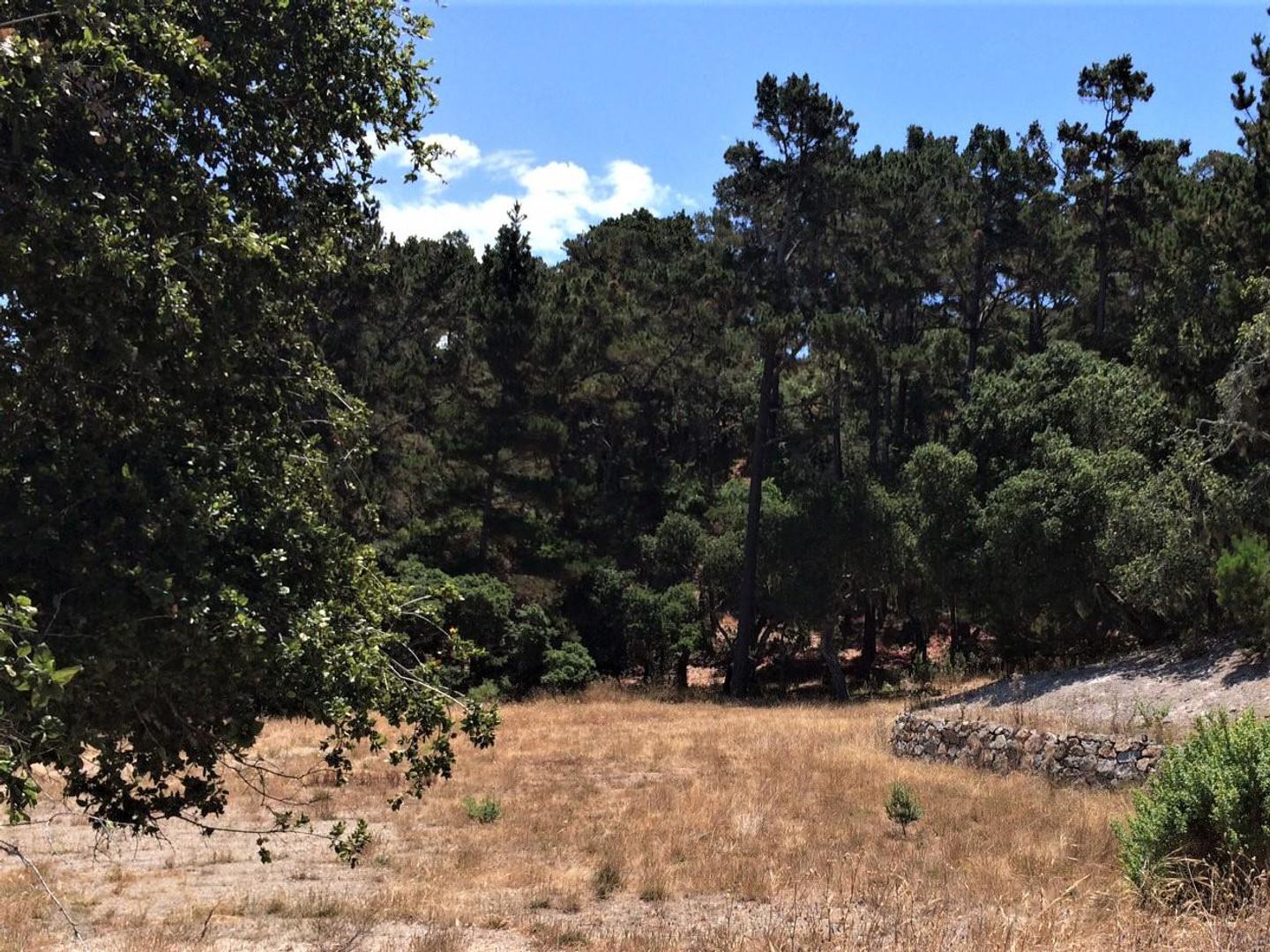 7599 Paseo Vista (Lot 75) photo #2