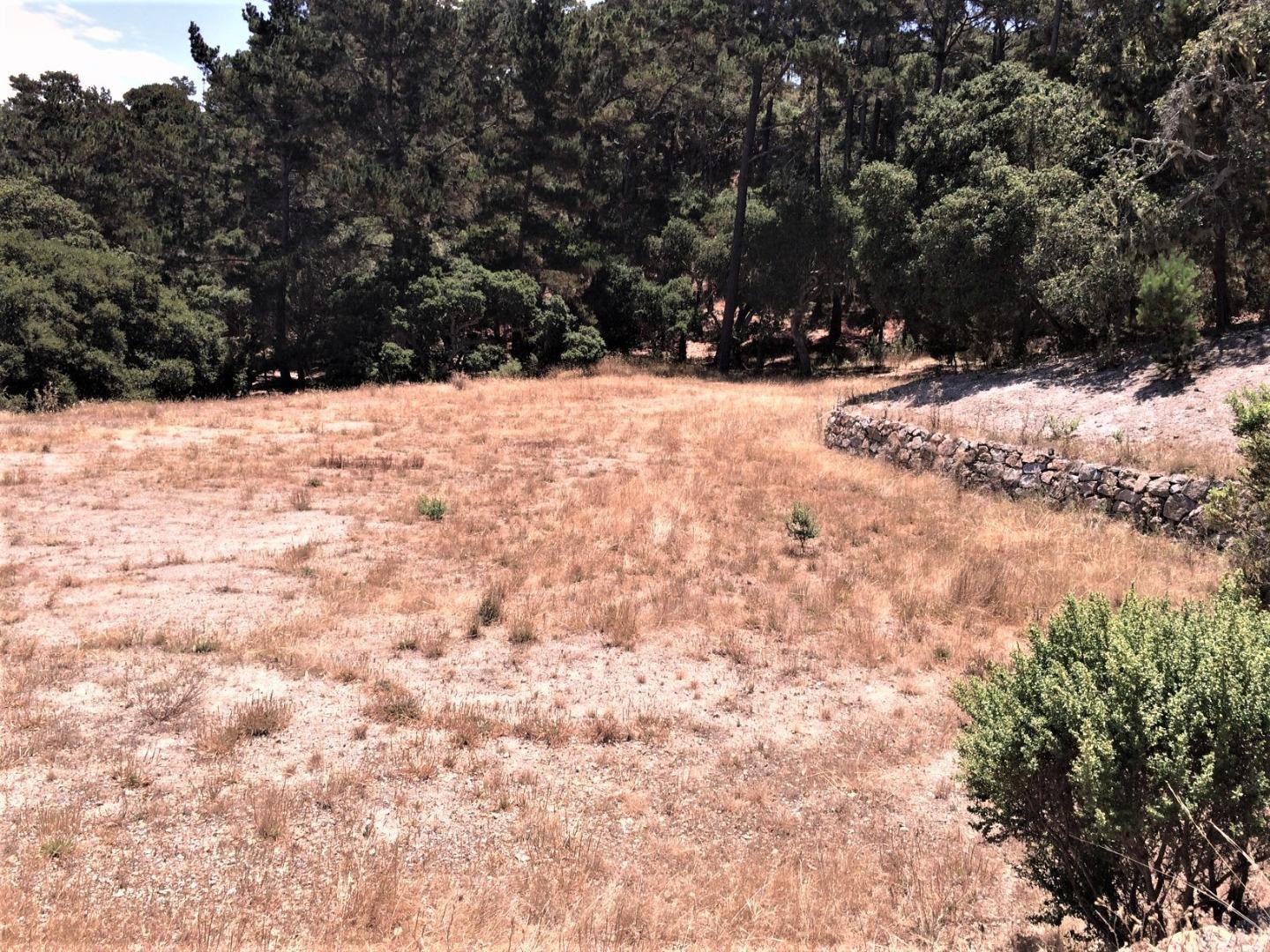 7599 Paseo Vista (Lot 75) photo #3