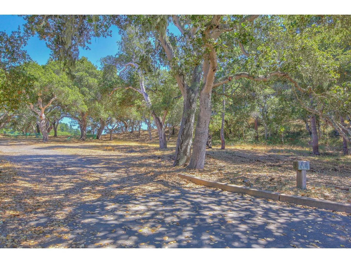 25600 Via Malpaso ( Lot 84) photo #2