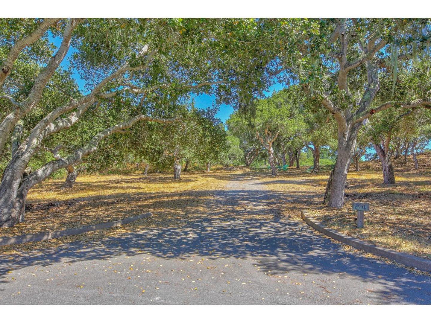 25600 Via Malpaso ( Lot 84) photo #3