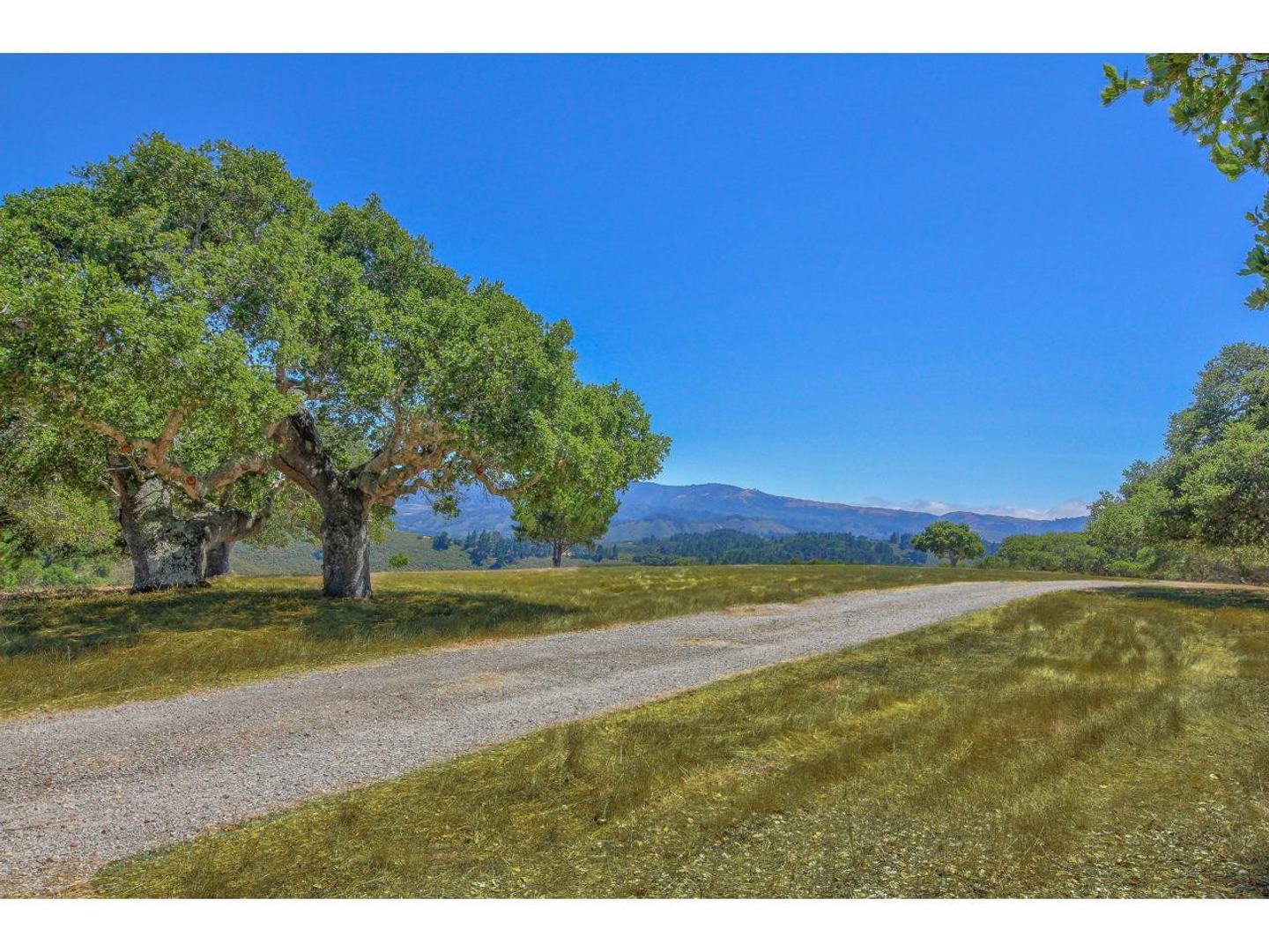 25600 Via Malpaso ( Lot 84) photo #19