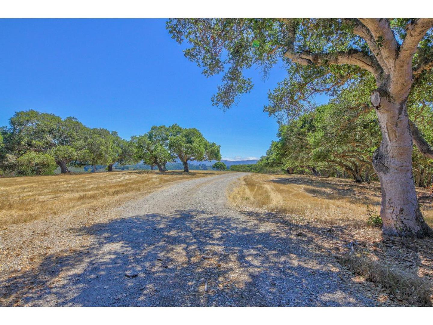 25600 Via Malpaso ( Lot 84) photo #21