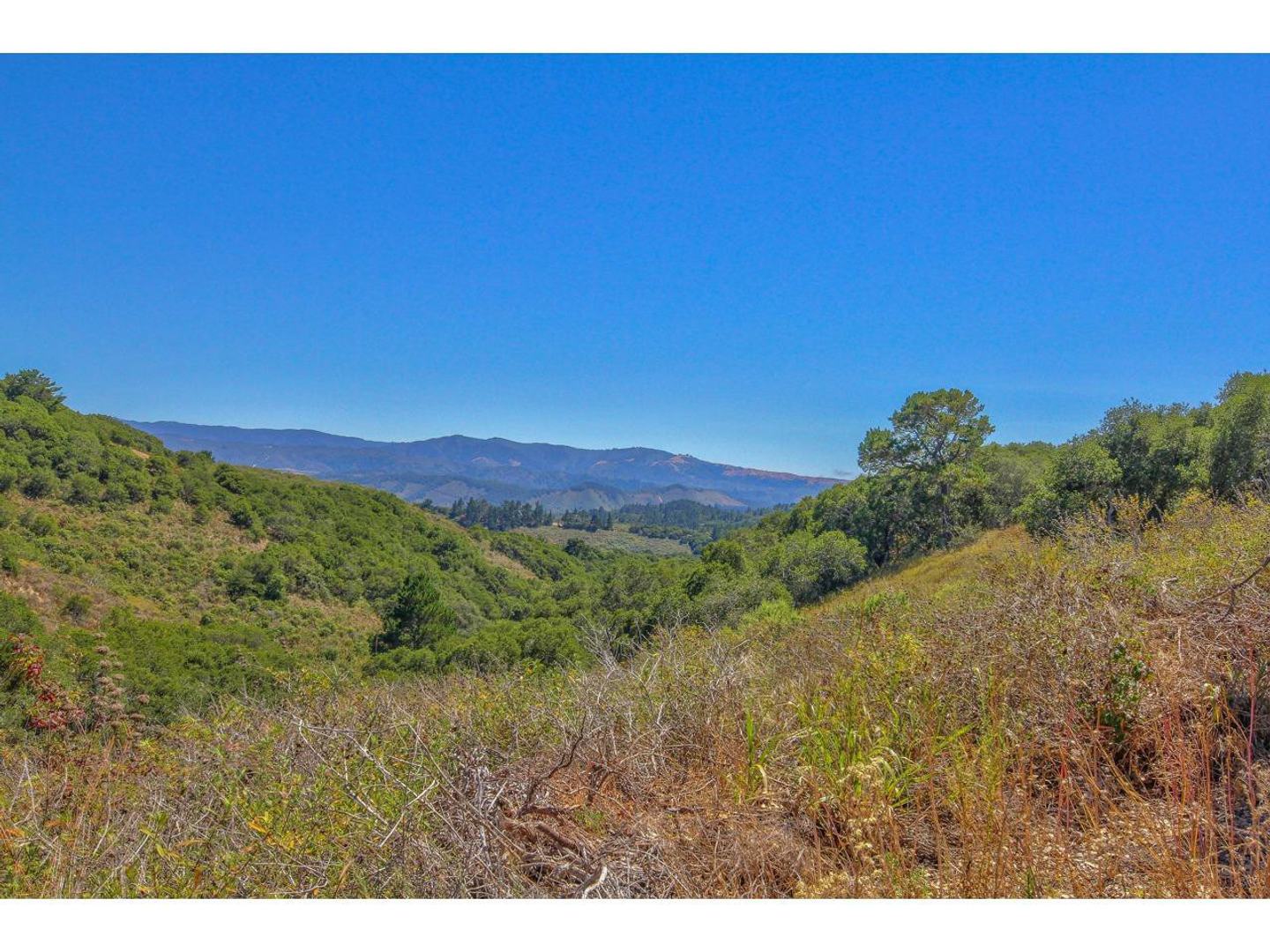 25600 Via Malpaso ( Lot 84) photo #22