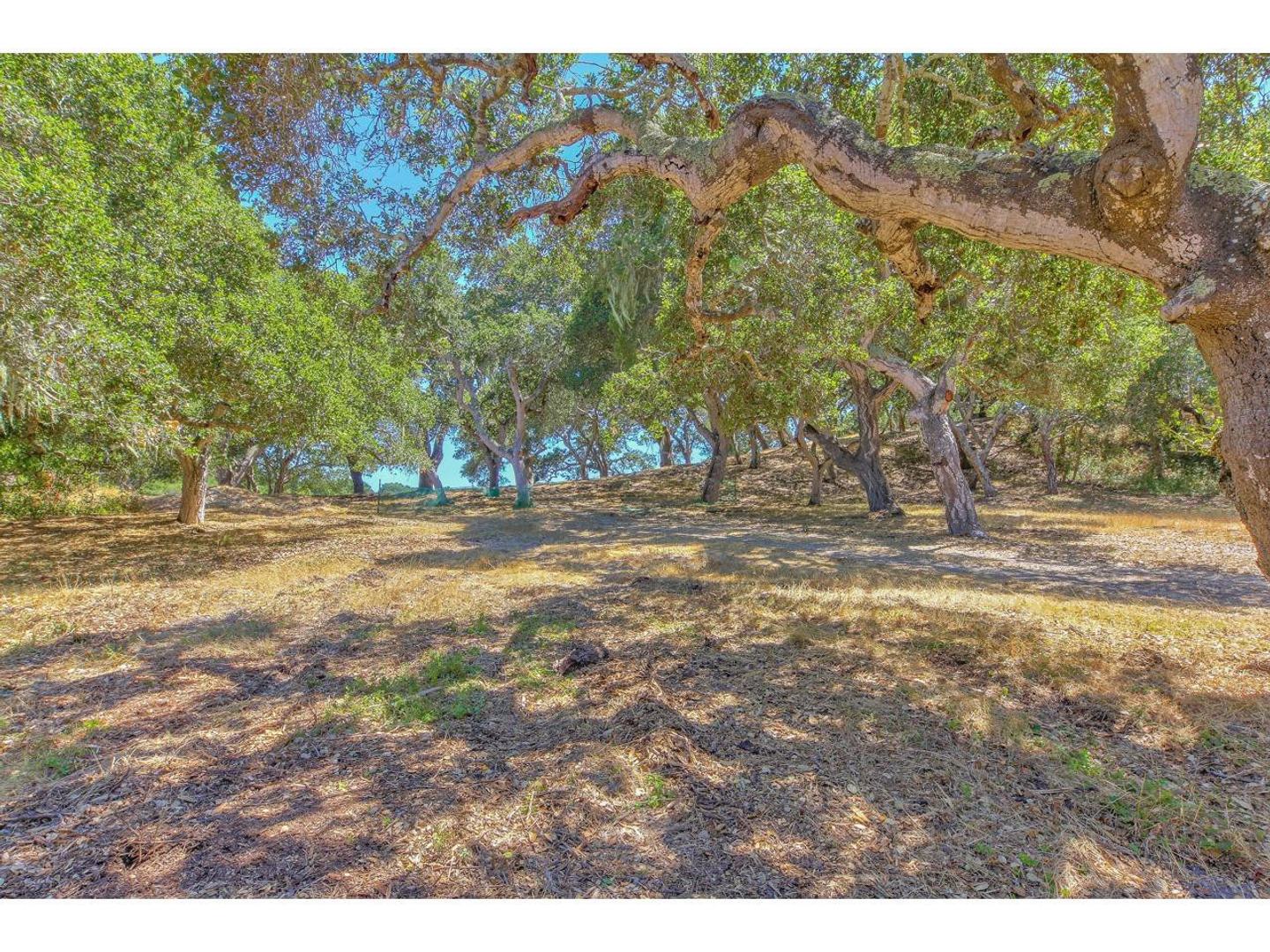 25600 Via Malpaso ( Lot 84) photo #23