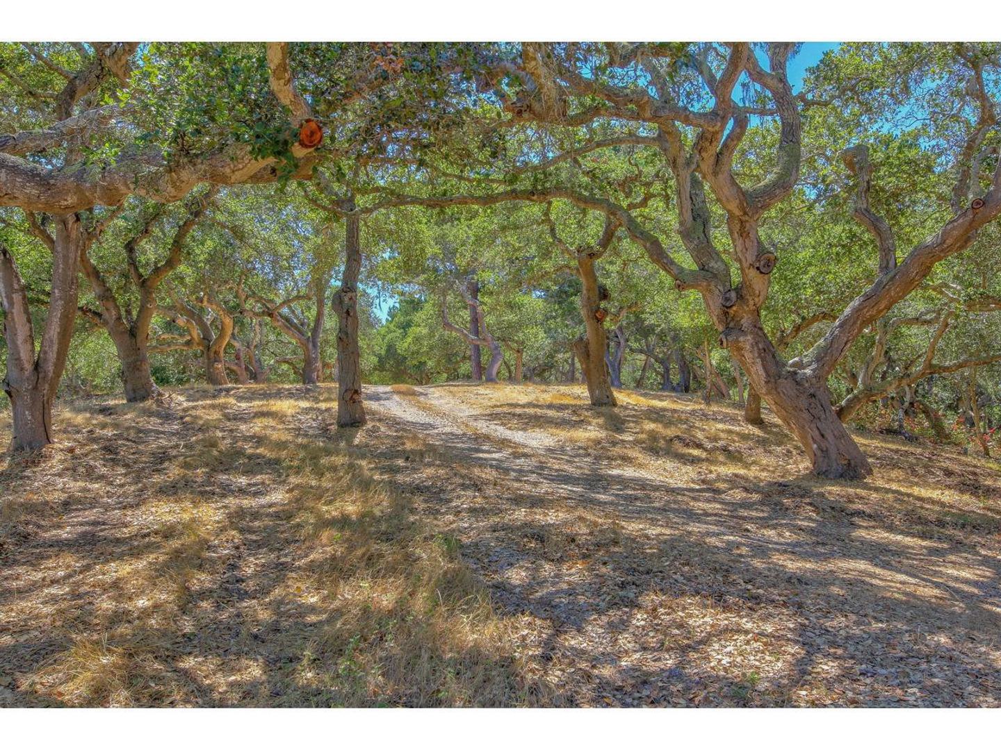 25600 Via Malpaso ( Lot 84) photo #24