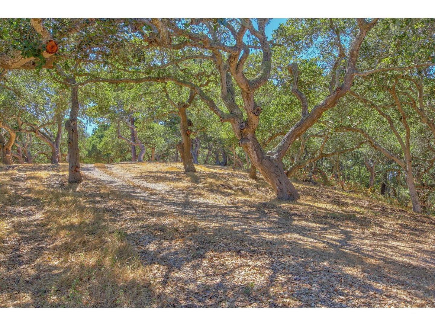 25600 Via Malpaso ( Lot 84) photo #25