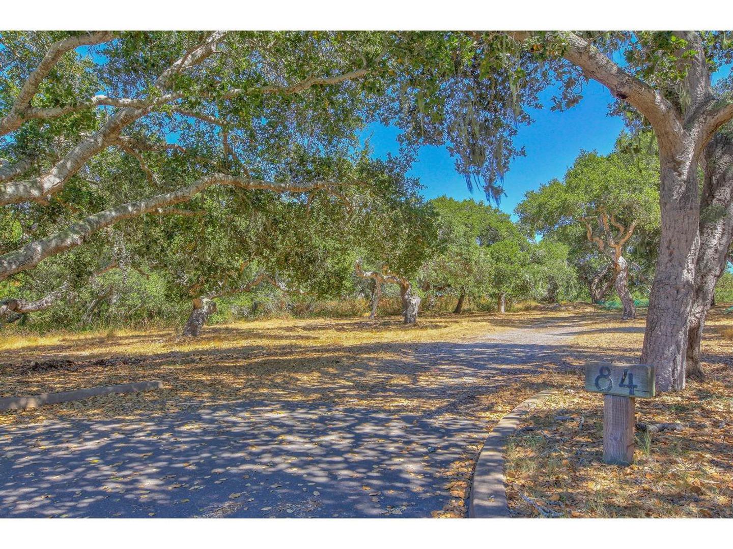 25600 Via Malpaso ( Lot 84) photo #28
