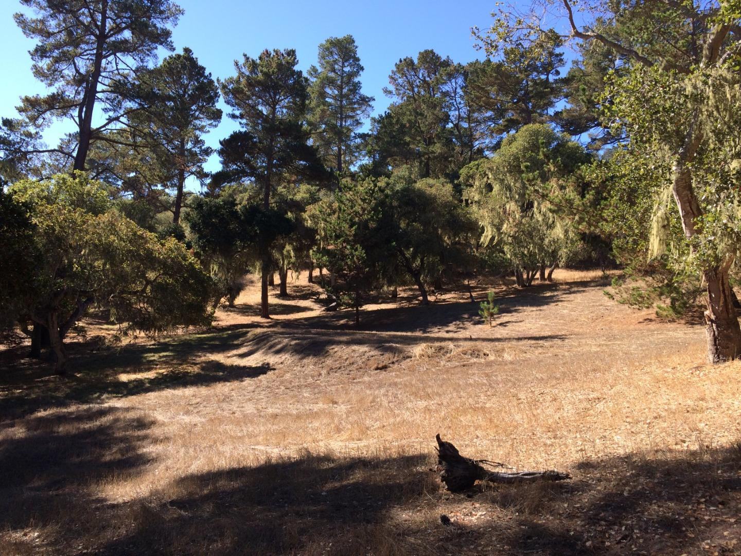 24262 Via Malpaso (Lot 28) photo #1