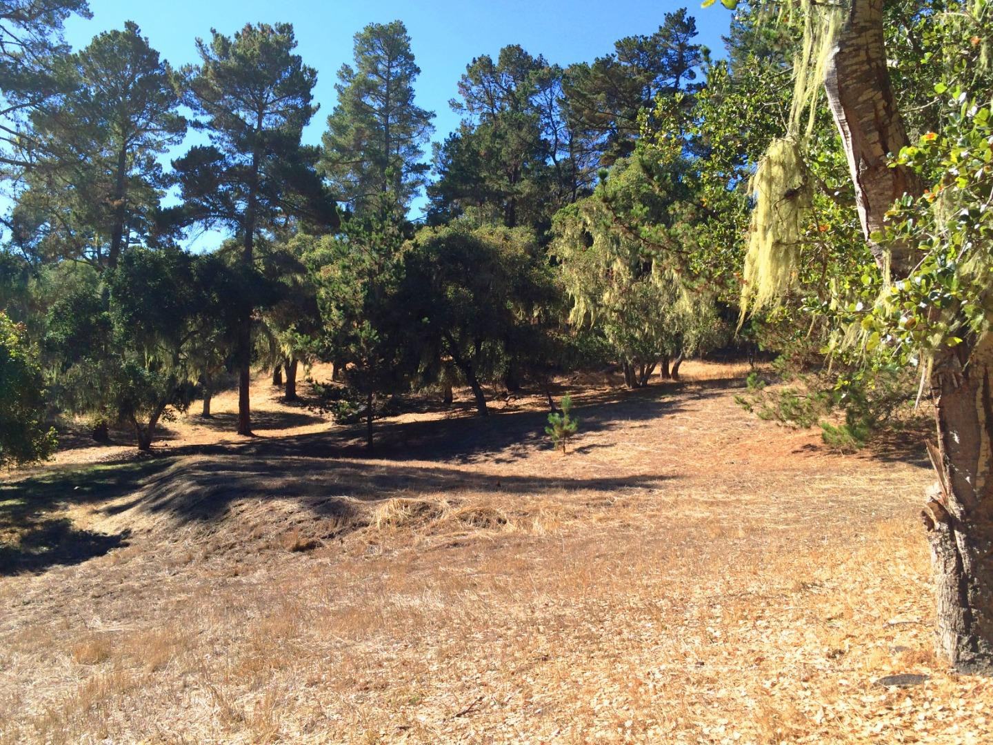 24262 Via Malpaso (Lot 28) photo #2