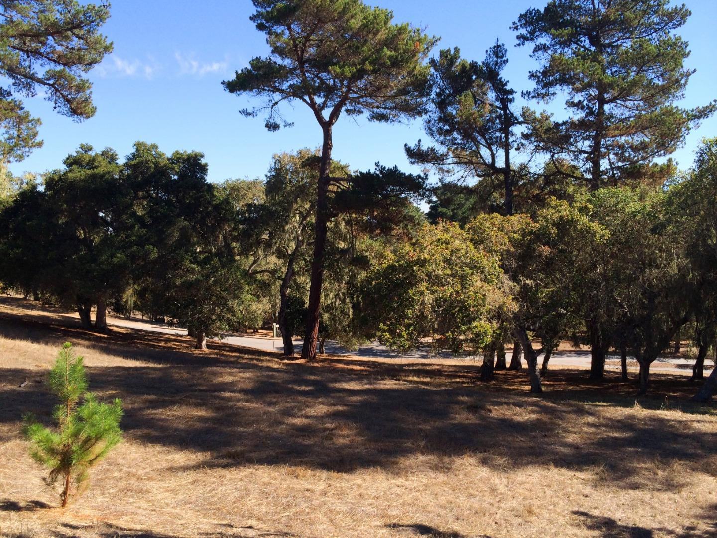 24262 Via Malpaso (Lot 28) photo #3